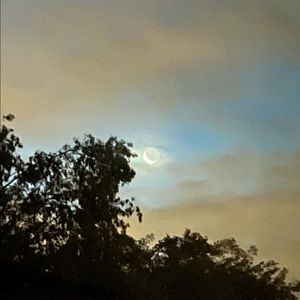 Meet your Posher, Ava